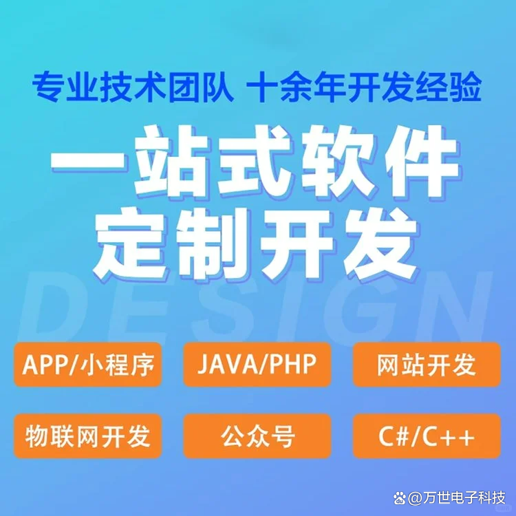儋州软件开发
